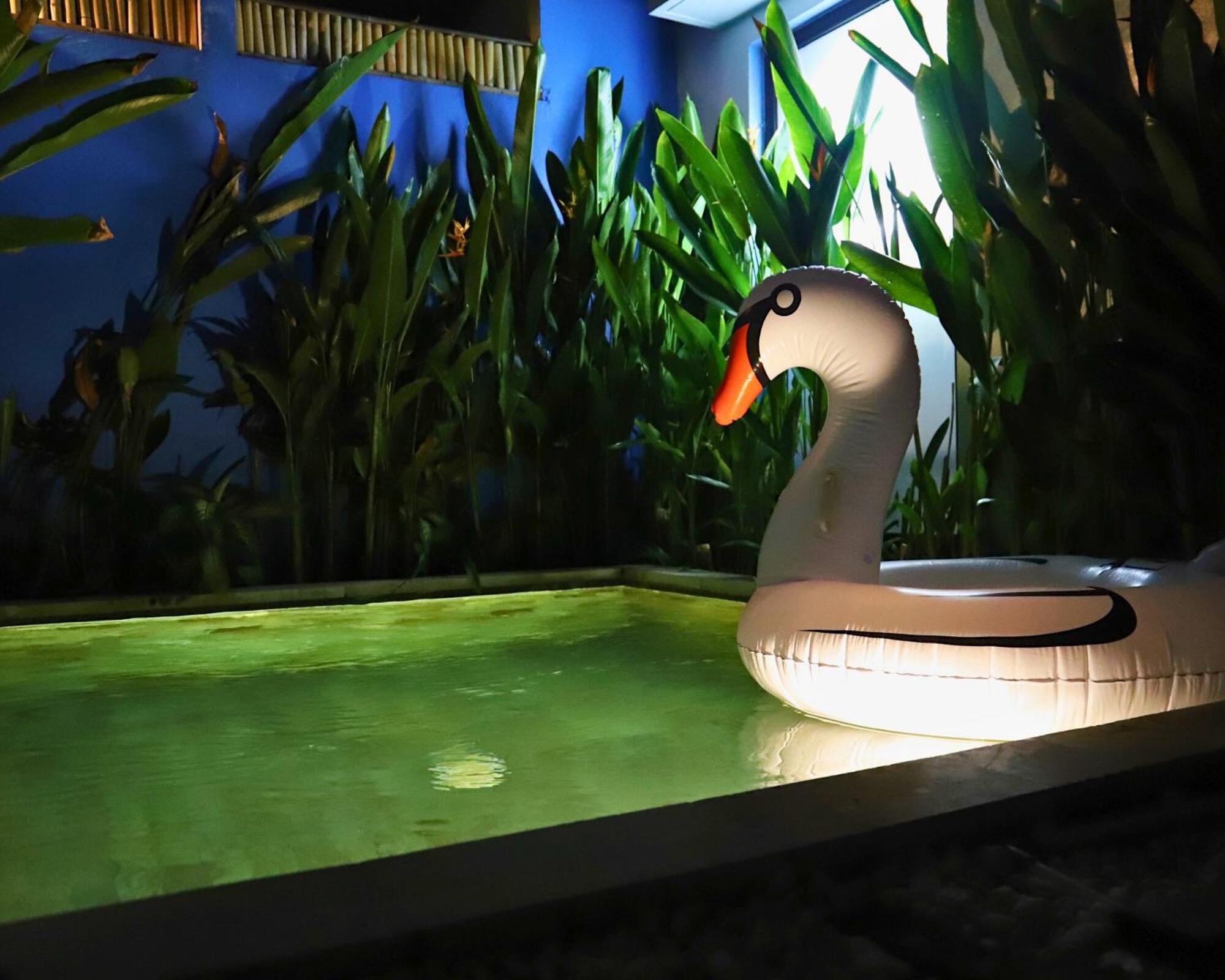 Peacock Private Pool Paradise Dalung  Exterior foto